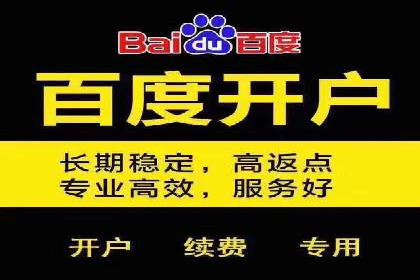 揭秘百度推广：成功案例背后的秘诀